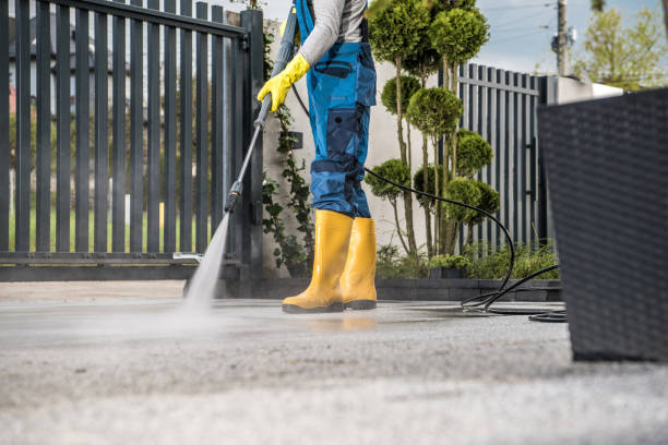 Best Window and Screen Pressure Cleaning in Ligonier, IN